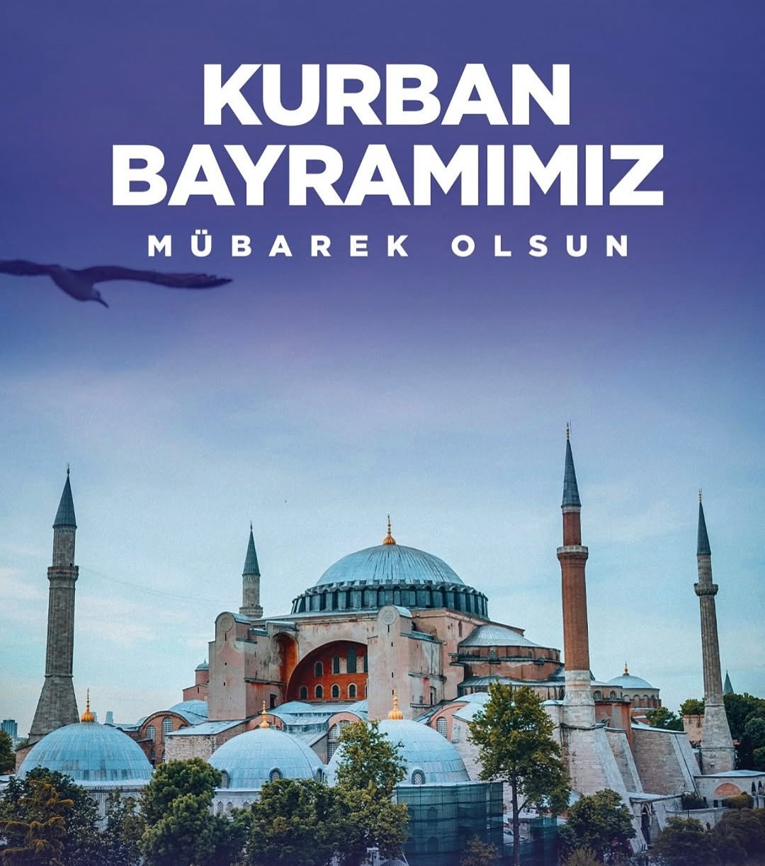 Kaymakamımız Süleyman ÖZÇAKICI’nın Kurban Bayramı Dolayısıyla Yayımladığı Mesaj